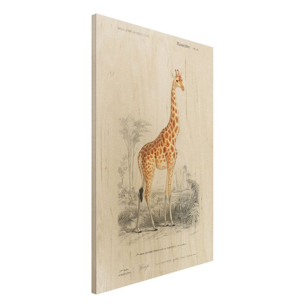Print on wood - Vintage Board Giraffe