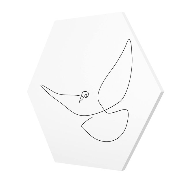 Forex hexagon - Dove Line Art