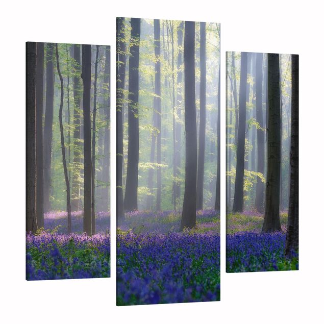 Print on canvas 3 parts - Spring Day In The Forest