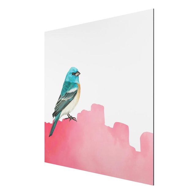 Print on aluminium - Bird On Pink Backdrop