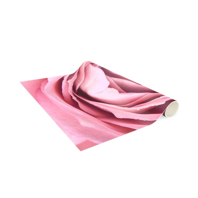Modern rugs Pink Rose Blossom