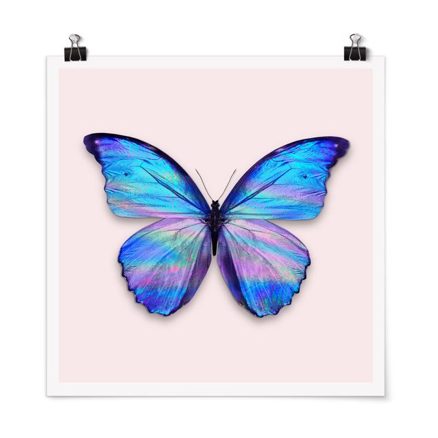 Poster - Holographic Butterfly