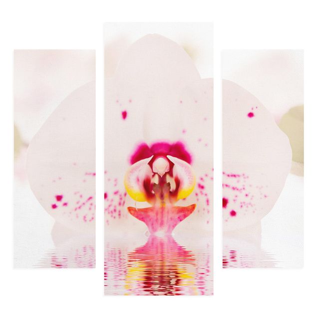 Print on canvas 3 parts - Dotted Orchid On Water