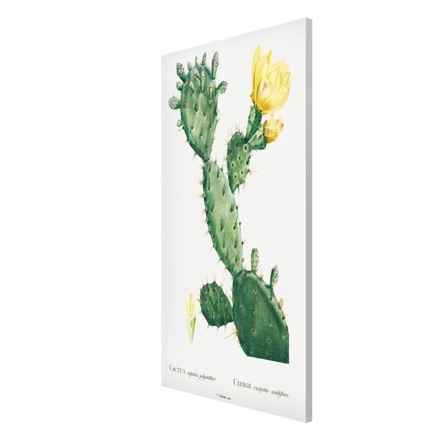 Magnetic memo board - Botany Vintage Illustration Cactus With Yellow Flower