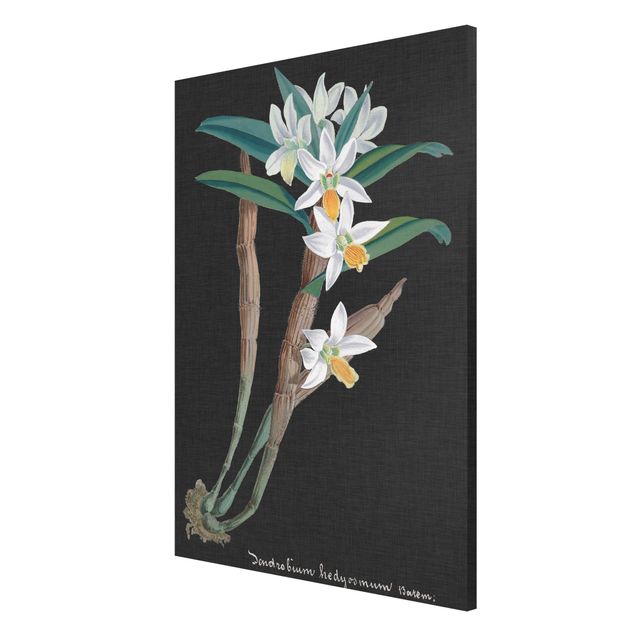 Magnetic memo board - White Orchid On Linen I