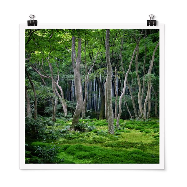 Poster - Japanese Forest