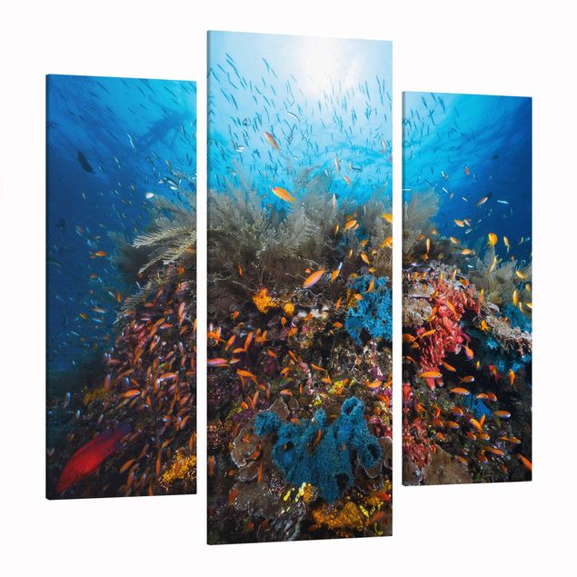 Print on canvas 3 parts - Lagoon Underwater