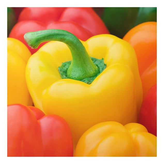 Glass Splashback - Colorful Peppers - Square 1:1