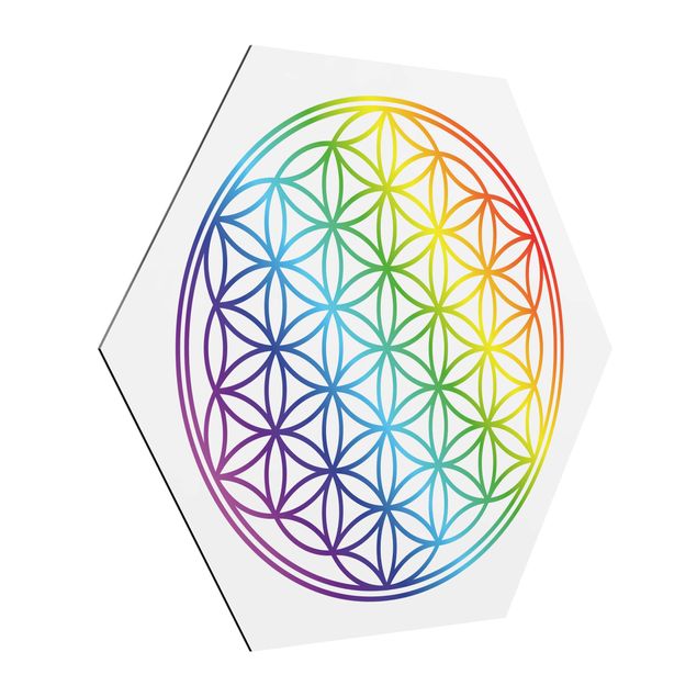 Alu-Dibond hexagon - Flower of Life rainbow color