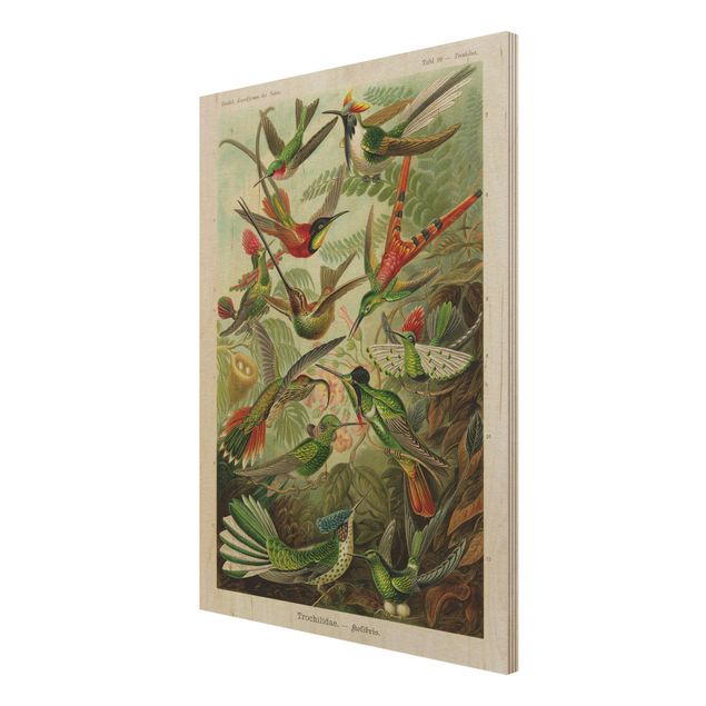 Print on wood - Vintage Board Hummingbirds