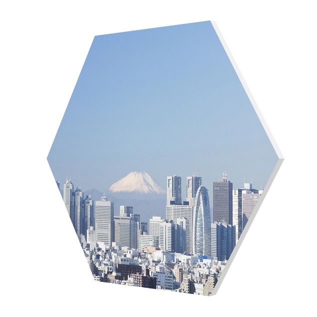 Forex hexagon - Tokyo In Front Of Fuji