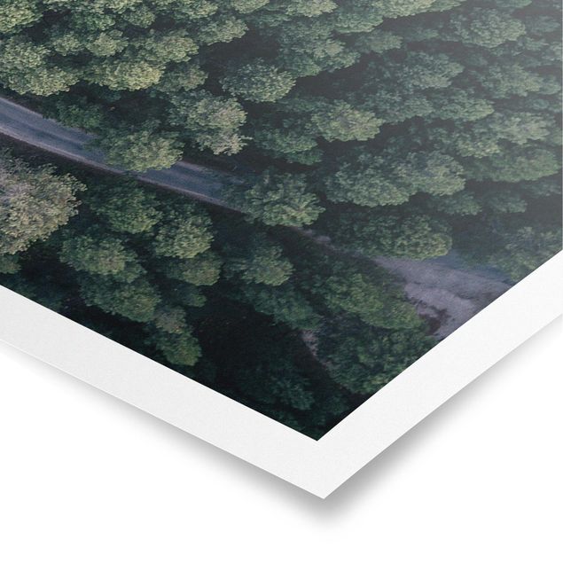 Panoramic poster nature & landscape - Aerial View - Forest Road From The Top