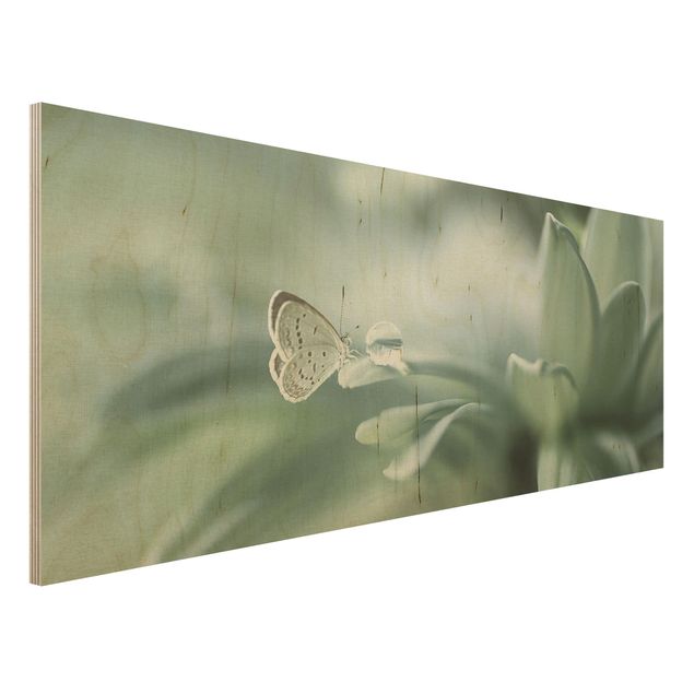 Wood print - Butterfly And Dew Drops In Pastel Green