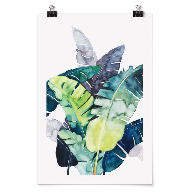 Poster flowers - Exotic Foliage - Banana
