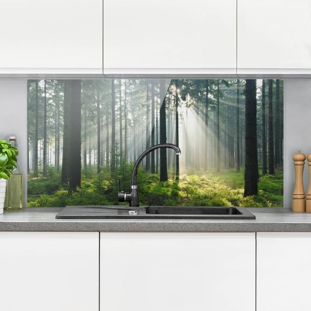 Glass splashback kitchen landscape Enlightened Forest