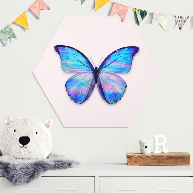 Forex hexagon - Holographic Butterfly