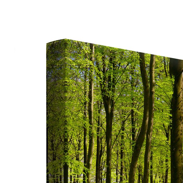 Print on canvas 2 parts - Forest Meadow