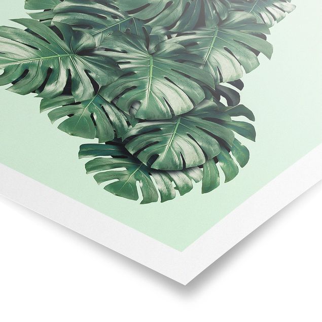 Poster animals - Peacock With Monstera Leaves