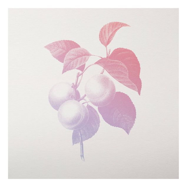 Print on aluminium - Modern Vintage Botanik Peach Light Pink Violet
