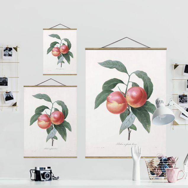 Fabric print with poster hangers - Botany Vintage Illustration Peach