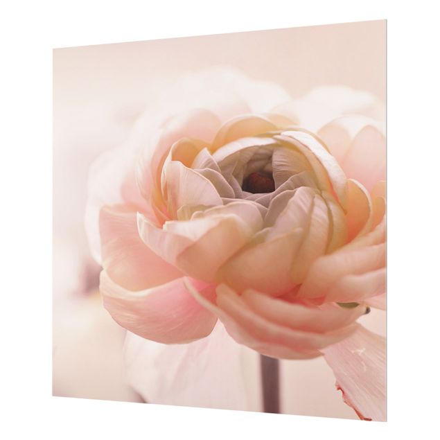 Splashback - Focus On Light Pink Flower - Square 1:1
