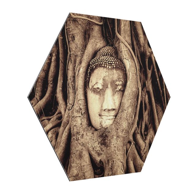 Alu-Dibond hexagon - Buddha In Ayutthaya Lined From Tree Roots In Brown