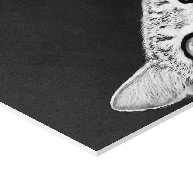 Forex hexagon - Illustration Cat Black And White Drawing