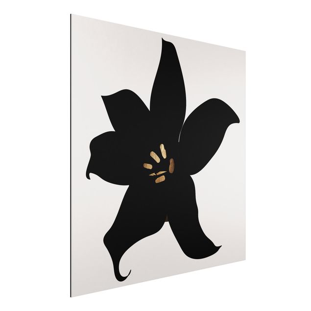 Dibond Graphical Plant World - Orchid Black And Gold