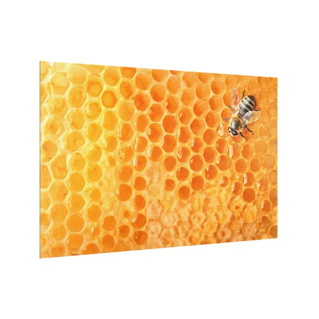 Splashback - Honey Bee