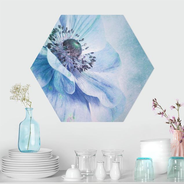 Forex hexagon - Flower In Turquoise