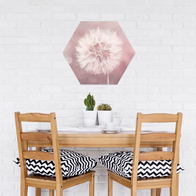 Hexagon Picture Forex - Dandelion Pink Bokeh