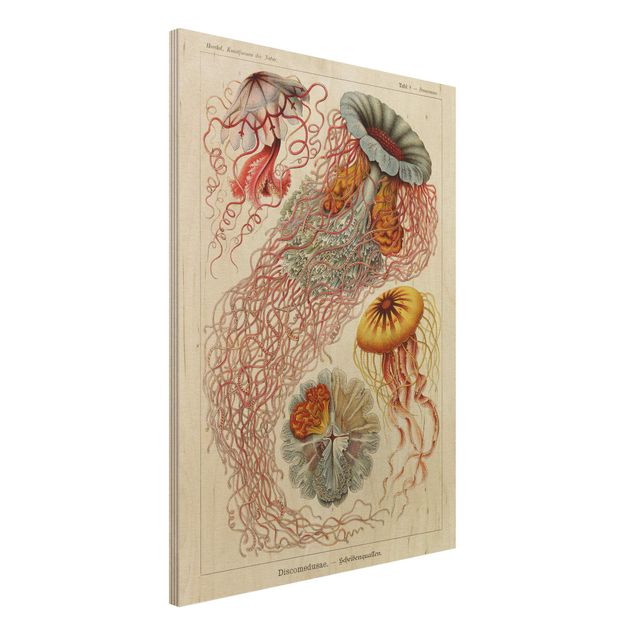 Print on wood - Vintage Board Jellyfish