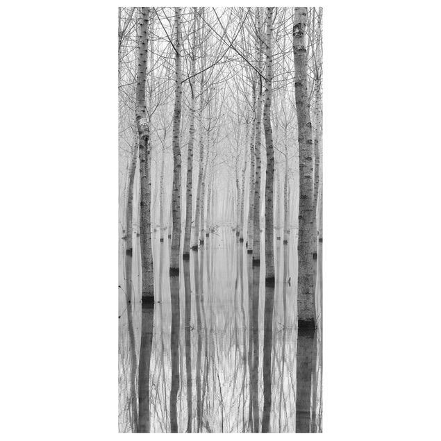 Room divider - Birches In November