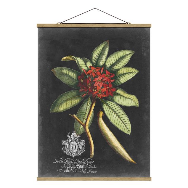 Fabric print with poster hangers - Vintage Royales Foliage On Black III