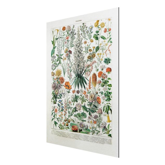 Print on aluminium - Vintage Board Flowers I