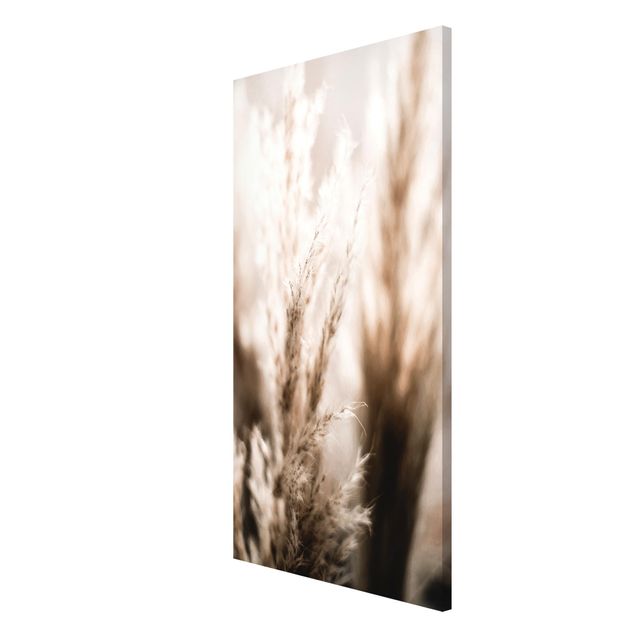 Magnetic memo board - Pampas Grass In The Shadow