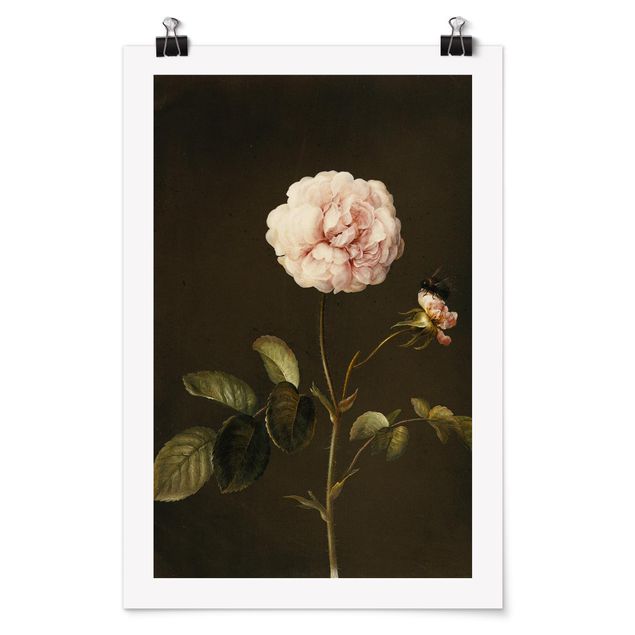 Poster art print - Barbara Regina Dietzsch - French Rose With Bumblbee