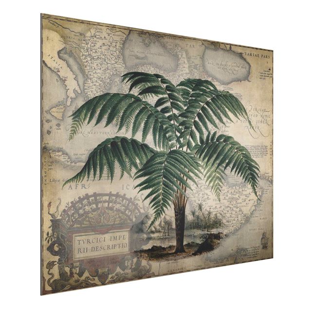 Alu dibond Vintage Collage - Palm And World Map
