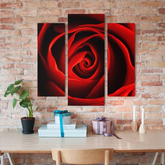Print on canvas 3 parts - Lovely Rose