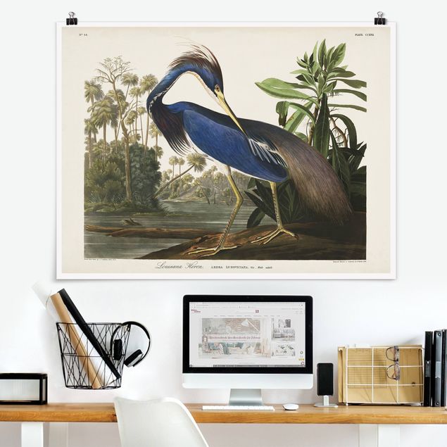 Poster - Vintage Board Louisiana Heron