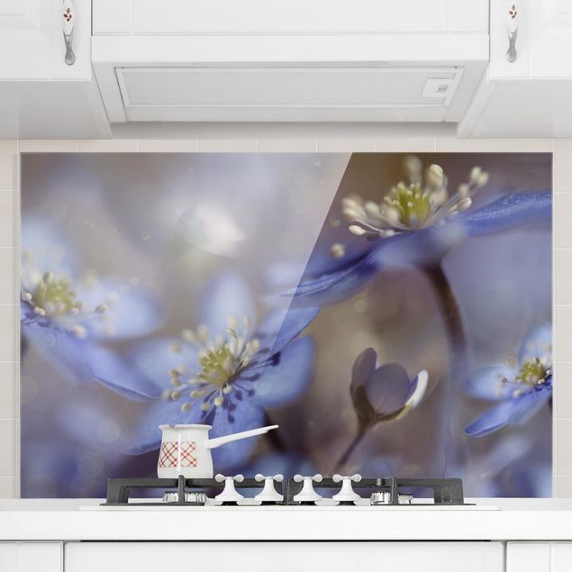 Glass splashback kitchen flower Anemone In Blue