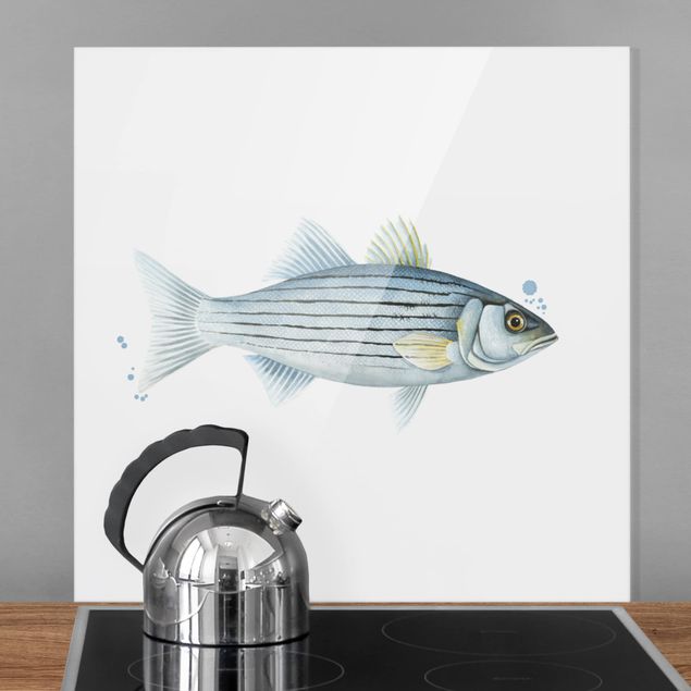 Glass splashback kitchen animals Ink Trap - White Perch