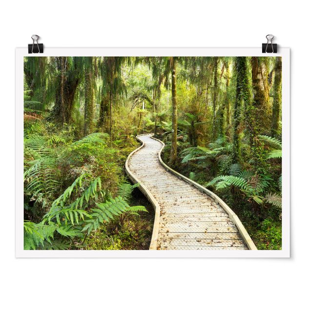 Poster - Path In The Jungle