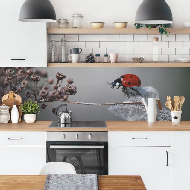 Kitchen splashback animals Ladybird On Hydrangea