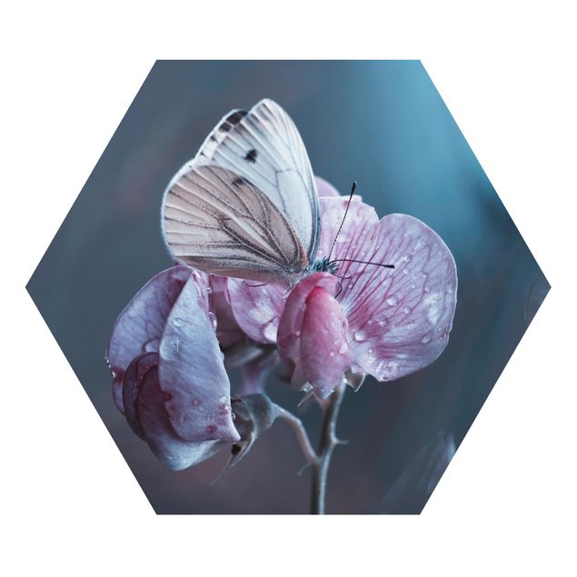 Alu-Dibond hexagon - Butterfly In The Rain