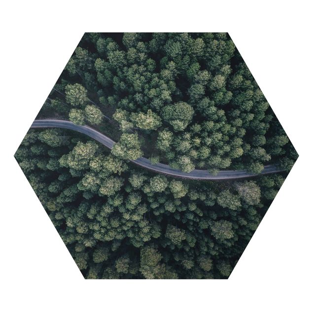 Alu-Dibond hexagon - Aerial View - Forest Road From The Top