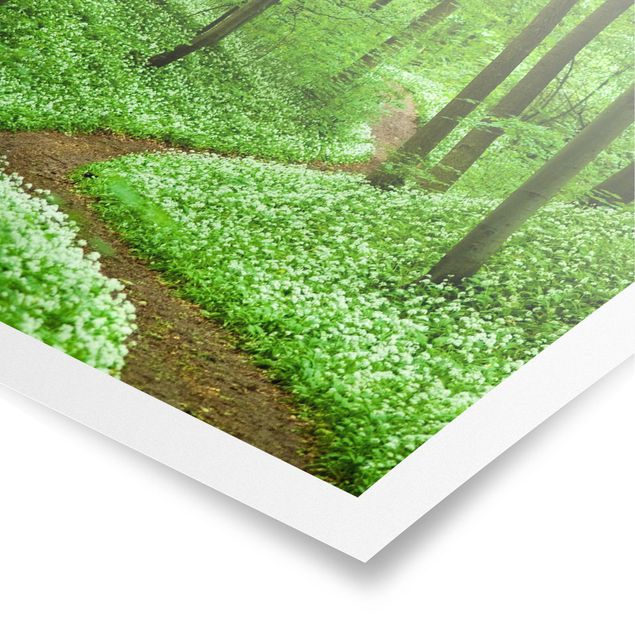 Poster forest - Romantic Forest Track
