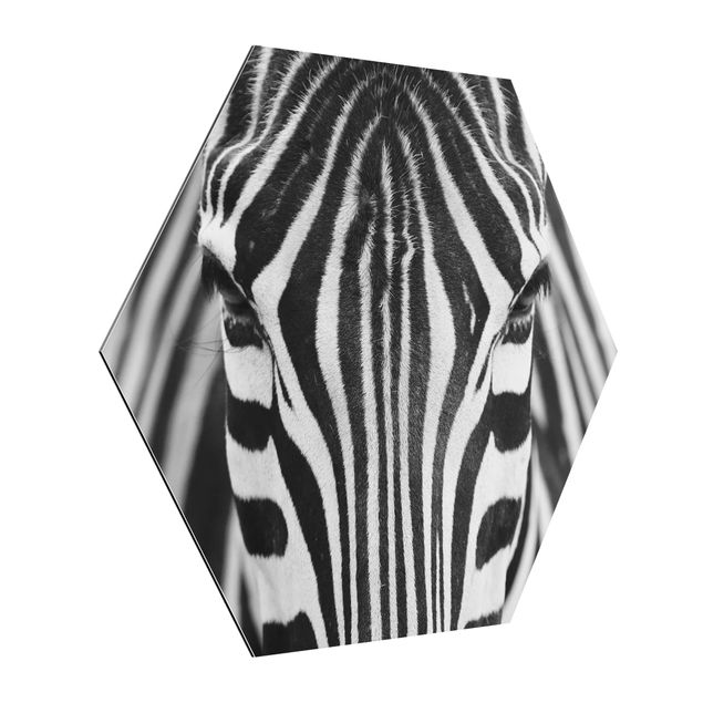 Alu-Dibond hexagon - Zebra Look