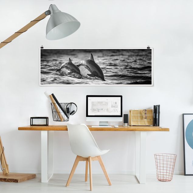 Panoramic poster animals - Two Jumping Dolphins