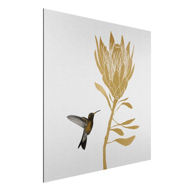 Aluminium dibond Hummingbird And Tropical Golden Blossom